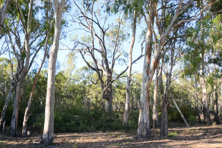 Seventh view of Homely land listing, "River Estate" Riverview Drive, Barham NSW 2732