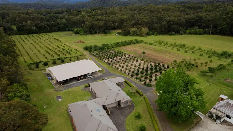 Third view of Homely rural property listing, 2904 Wisemans Ferry Road, Mangrove Mountain NSW 2250