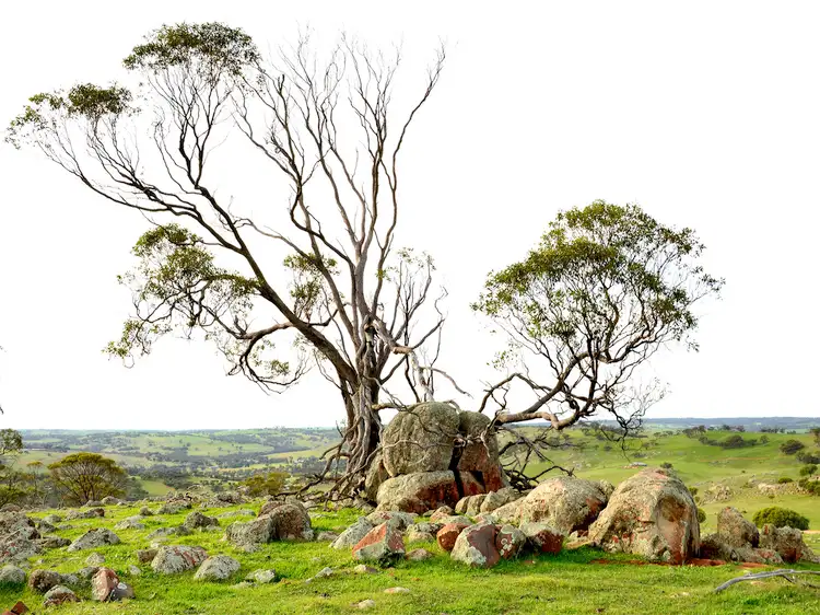 Fifth view of Homely land listing, LOT 101, Nockdominie Road, Whitfield Road, Toodyay WA 6566