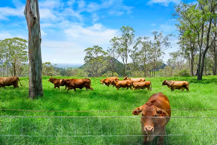 Second view of Homely house listing, 38 Stevenson Street, Redwood QLD 4350