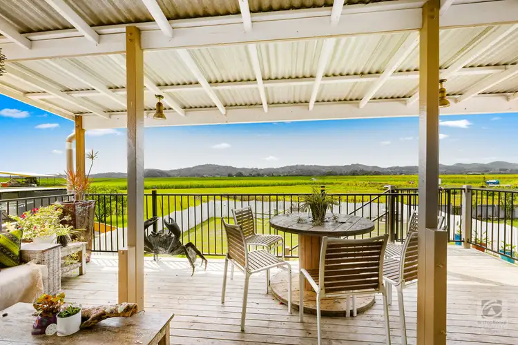 Second view of Homely house listing, 16 Colonial Drive, Condong NSW 2484