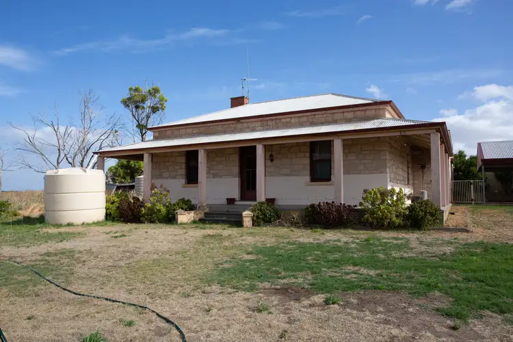 Second view of Homely rural property listing, 3924 Flinders Highway, Wangary SA 5607