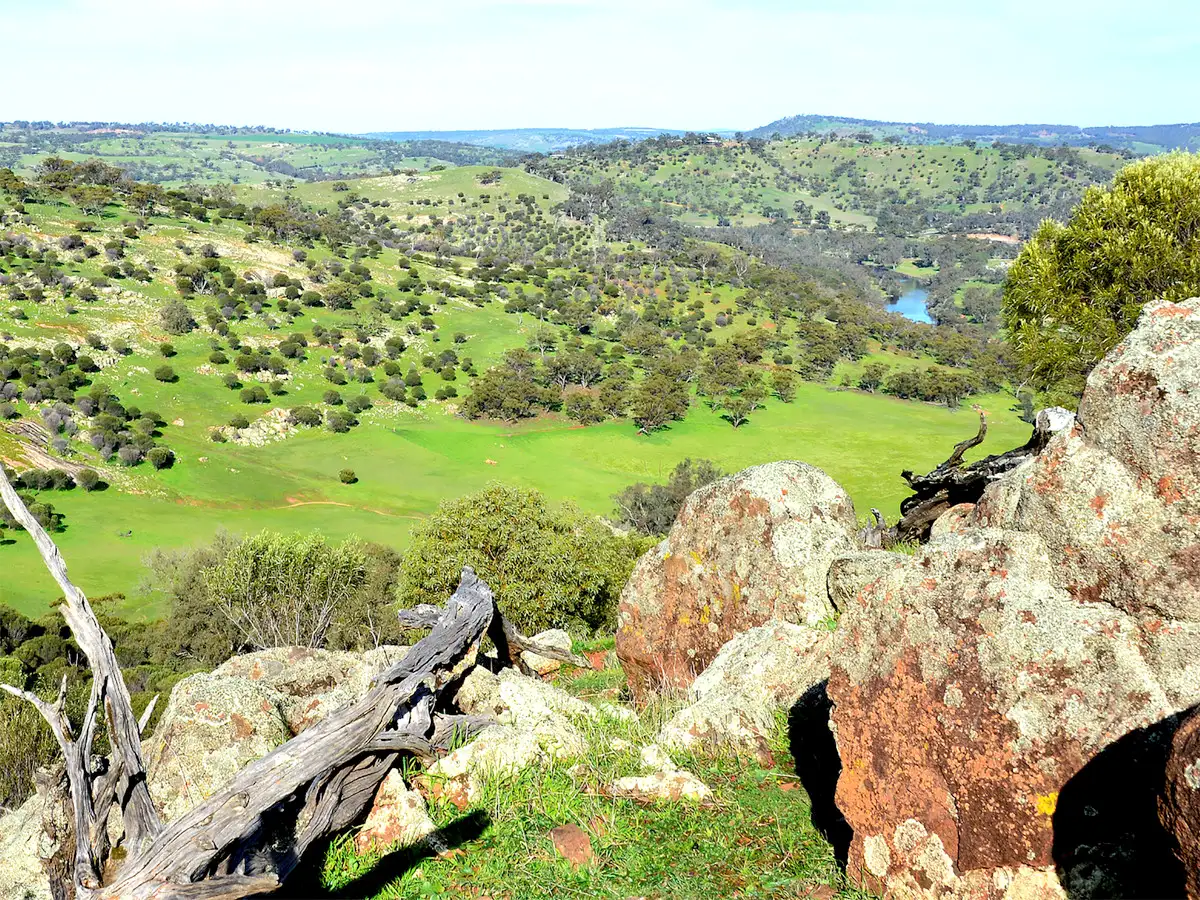 Main view of Homely land listing, LOT 109, Nockdominie Road Whitfield Road, Toodyay WA 6566
