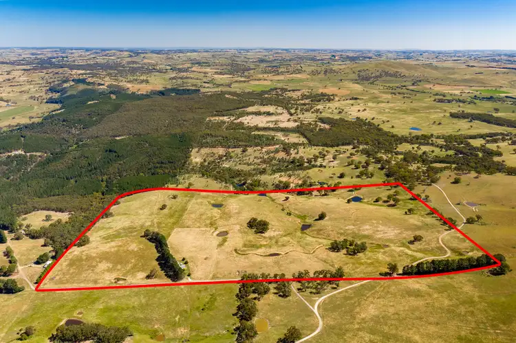113 Kellys Road, Fitzgeralds Mount NSW 2799