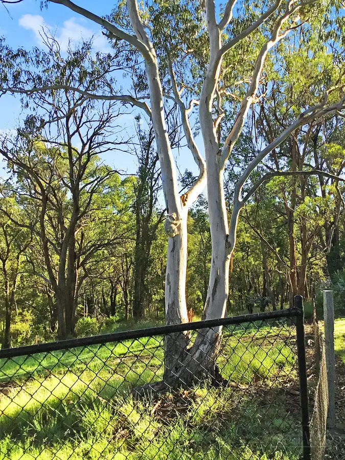 Second view of Homely house listing, 12a Albert Street, Crows Nest QLD 4355