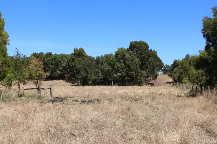 Sixth view of Homely rural property listing, 290 Langs James Road, Balintore VIC 3249