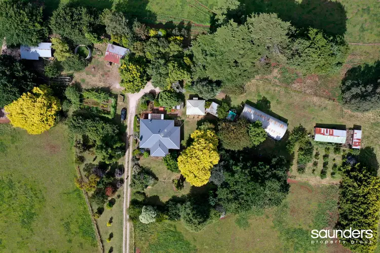 Third view of Homely rural property listing, 461 Bridport Road, Jetsonville TAS 7260