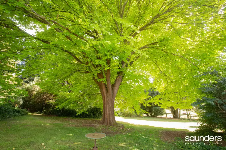 Fourth view of Homely rural property listing, 461 Bridport Road, Jetsonville TAS 7260