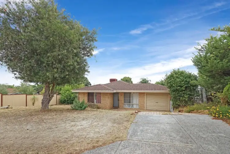11 Chestnut Grove, Mirrabooka WA 6061