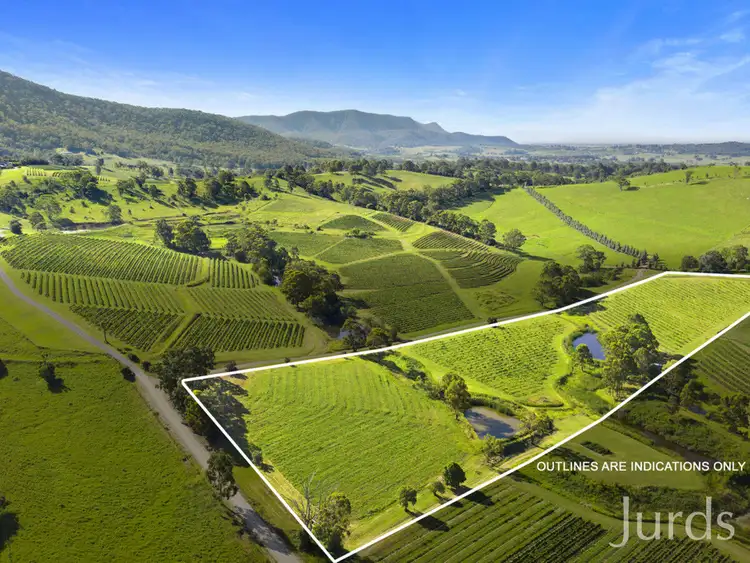 Main view of Homely rural property listing, 593 Mount View Road, Mount View NSW 2325