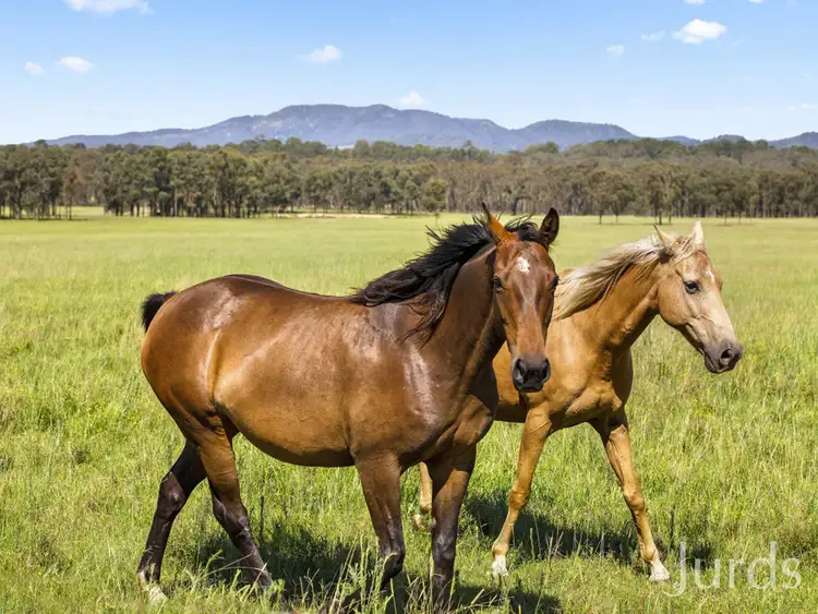 Sixth view of Homely rural property listing, Lot 5 Roughit Lane, Sedgefield NSW 2330