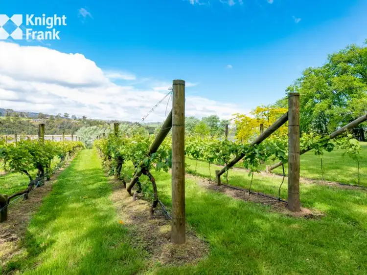 Second view of Homely house listing, 56 Nobelius Drive, Legana TAS 7277