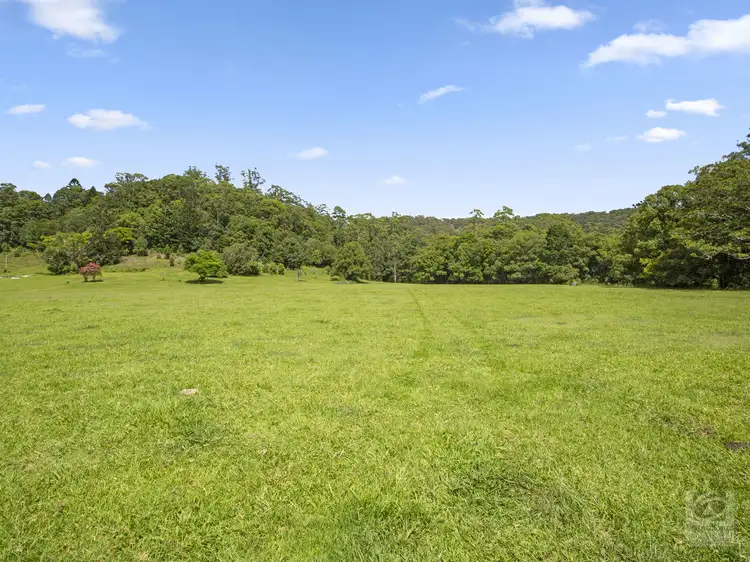 Main view of Homely land listing, 116 Crabbes Creek Road, Crabbes Creek NSW 2483