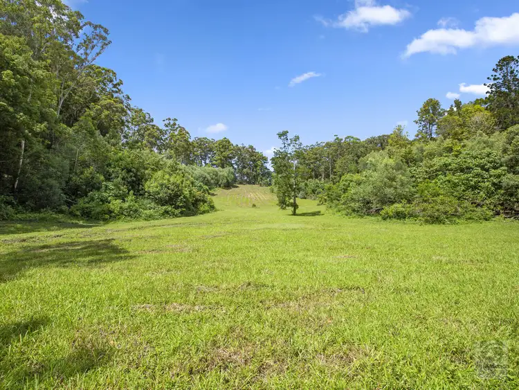 Third view of Homely land listing, 116 Crabbes Creek Road, Crabbes Creek NSW 2483