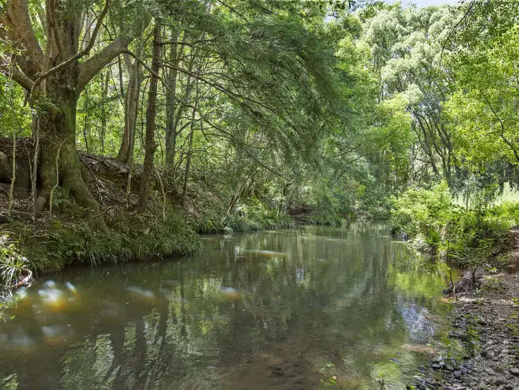Fourth view of Homely land listing, 116 Crabbes Creek Road, Crabbes Creek NSW 2483