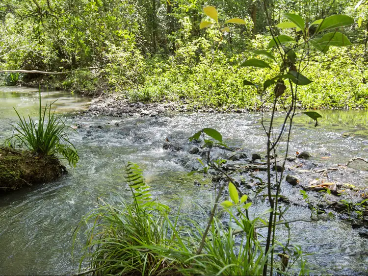 Fifth view of Homely land listing, 116 Crabbes Creek Road, Crabbes Creek NSW 2483