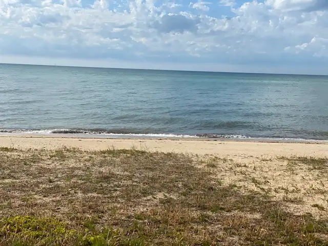 Seventh view of Homely other listing, Boatshed 148, Dromana VIC 3936