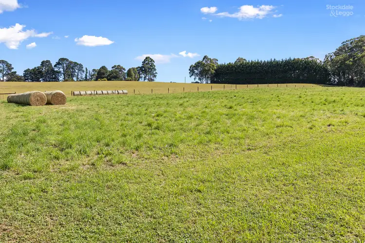 Sixth view of Homely house listing, 25 Koala Road, Seville VIC 3139