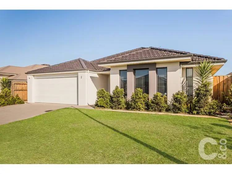 Second view of Homely house listing, 8 Catseye Crescent, Wellard WA 6170