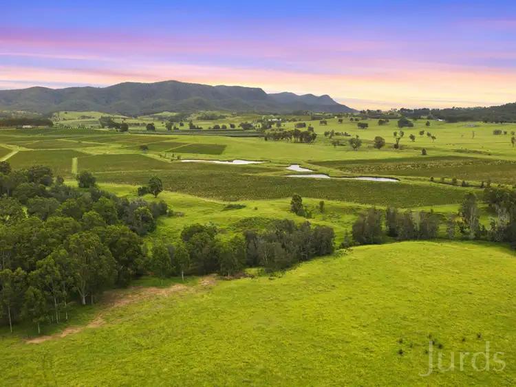 Seventh view of Homely rural property listing, 402 Oakey Creek Road, Pokolbin NSW 2320