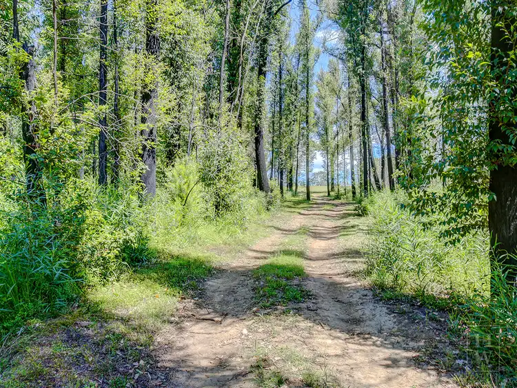 Third view of Homely land listing, 411 Spring Hill Road, Meryla NSW 2577