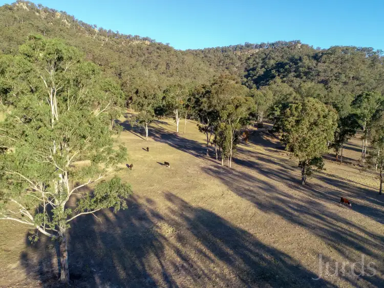 Fourth view of Homely rural property listing, 1087 Wollombi Road, Broke NSW 2330