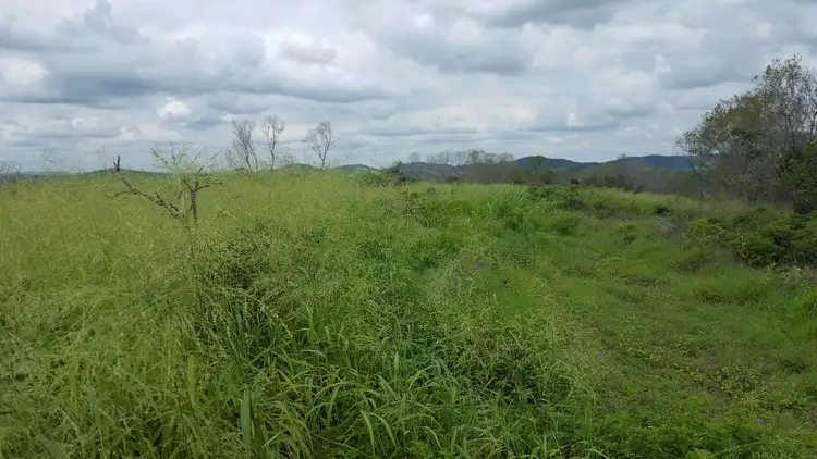 Fifth view of Homely rural property listing, 660 Gentle Annie Road, Ambrose QLD 4695