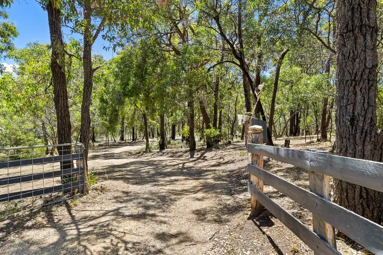 Third view of Homely house listing, 155 Bones Road, Bells Beach VIC 3228