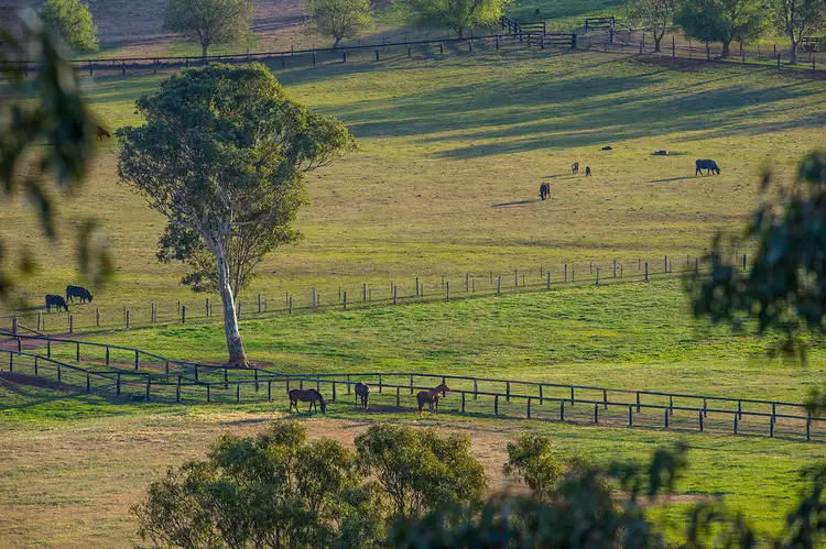 Fourth view of Homely rural property listing, 185 Alma Road, Gundy NSW 2337