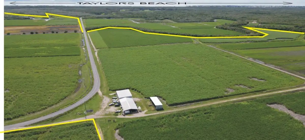 Main view of Homely rural property listing, 260 Taylors Beach Road, Halifax QLD 4850