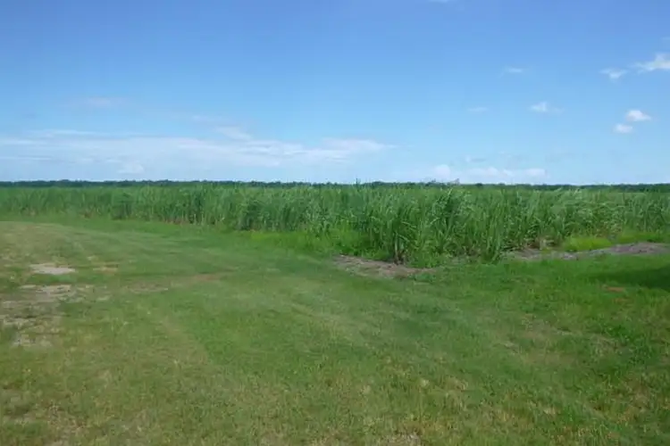 Fourth view of Homely rural property listing, 260 Taylors Beach Road, Halifax QLD 4850