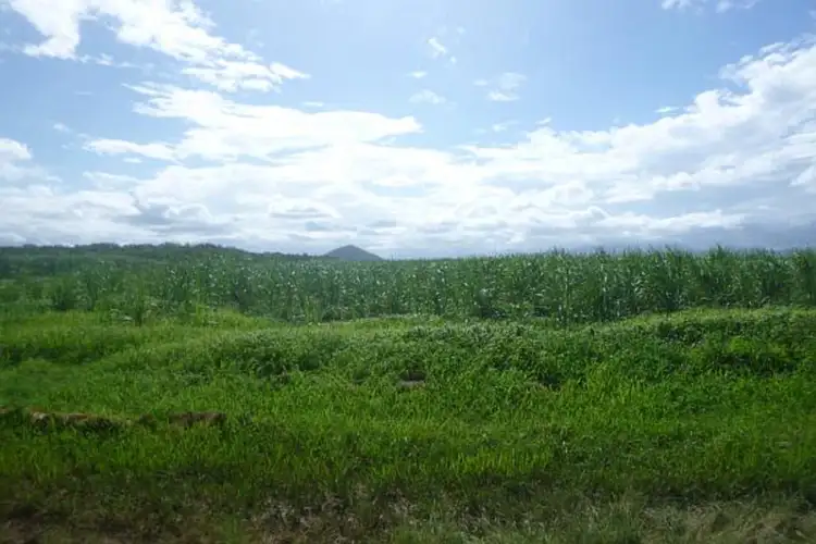 Fifth view of Homely rural property listing, 260 Taylors Beach Road, Halifax QLD 4850