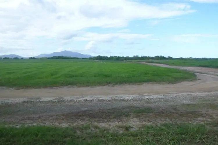 Seventh view of Homely rural property listing, 260 Taylors Beach Road, Halifax QLD 4850