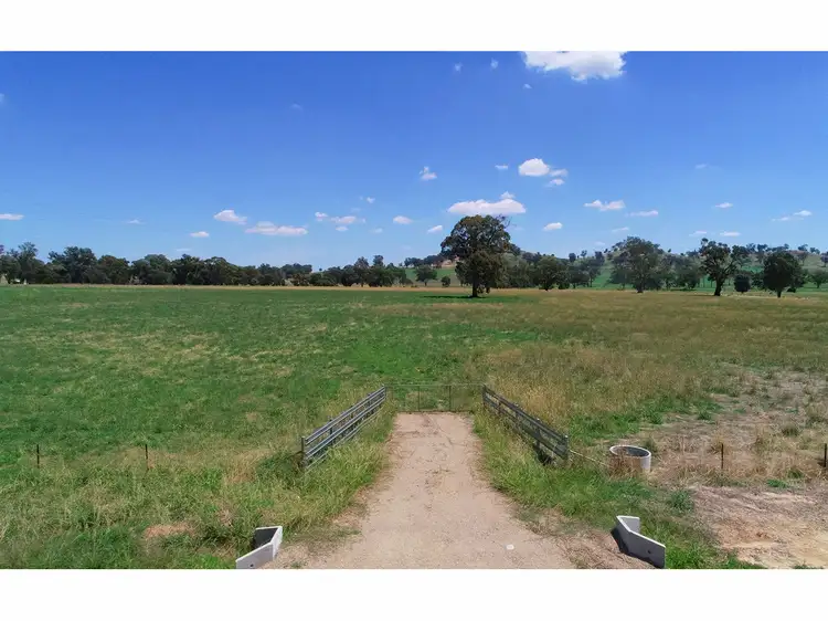 395 Jelbart Road, Jindera NSW 2642