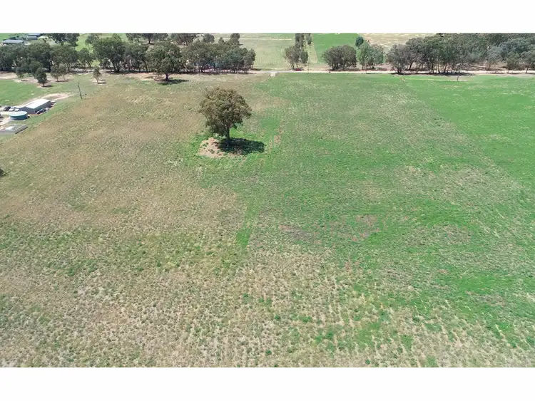 Third view of Homely land listing, 395 Jelbart Road, Jindera NSW 2642
