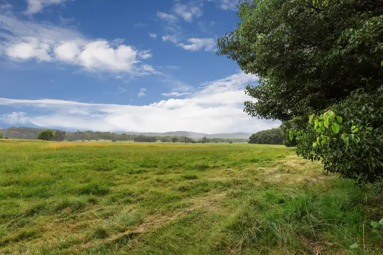 Fifth view of Homely rural property listing, 566 Coldstream Road, Tyndale NSW 2460