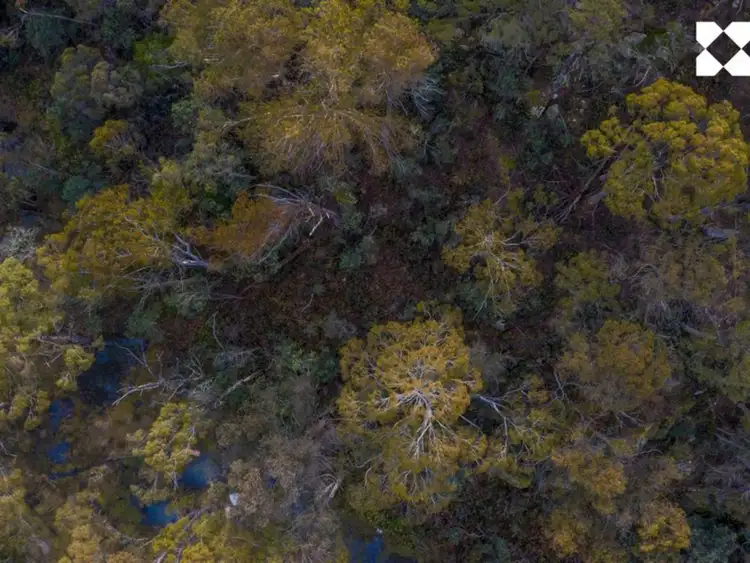 Third view of Homely land listing, 140 Fishers Tier Road, Rossarden TAS 7213