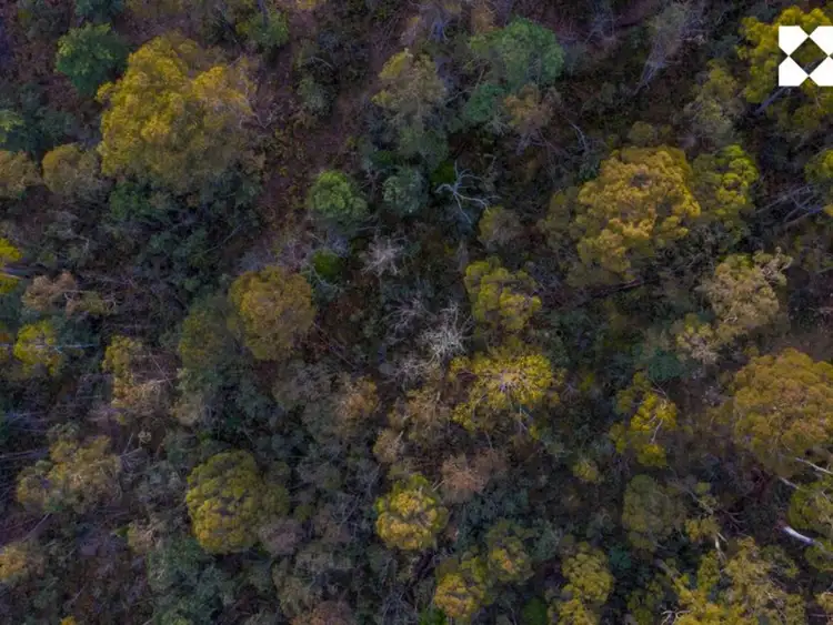 Fourth view of Homely land listing, 140 Fishers Tier Road, Rossarden TAS 7213