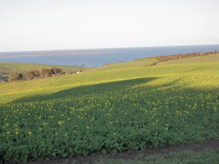 Fourth view of Homely rural property listing, 210 Hyde Road, Port Lincoln SA 5606