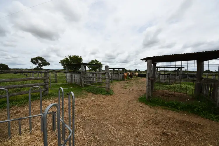 Fifth view of Homely house listing, 144 Bishop Road, Garnant QLD 4702
