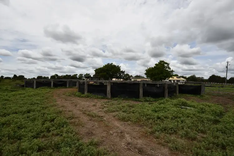 Sixth view of Homely house listing, 144 Bishop Road, Garnant QLD 4702