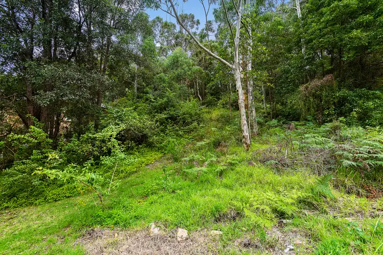 Fifth view of Homely land listing, 38 Murray Road, Cardiff NSW 2285