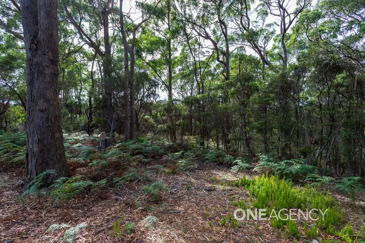 Fifth view of Homely land listing, 80 Allegra Drive, Heybridge TAS 7316