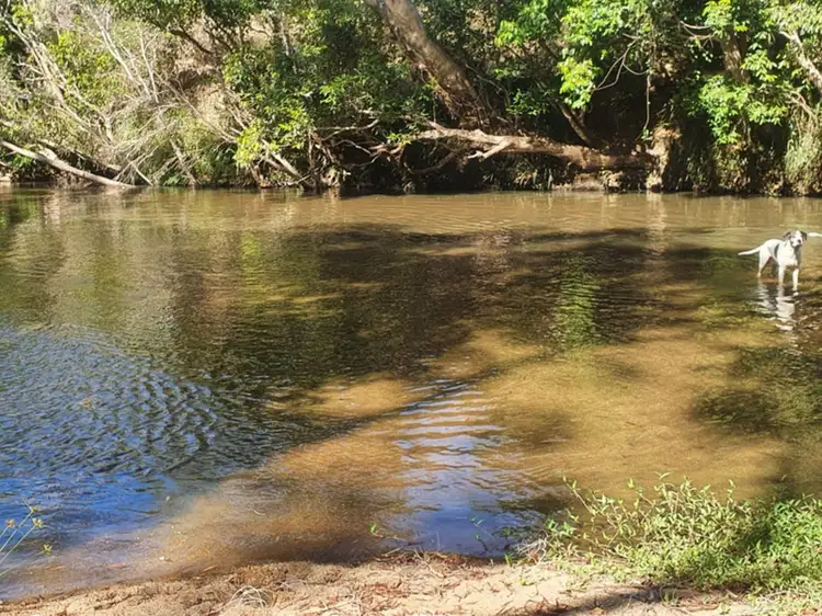 Third view of Homely rural property listing, 400 McGrath Road, Mareeba QLD 4880
