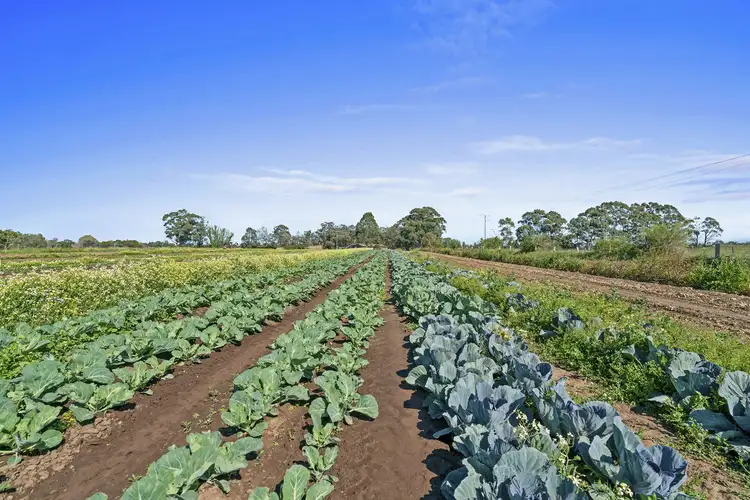Fifth view of Homely rural property listing, 75 Stewarts Lane, Stratford VIC 3862