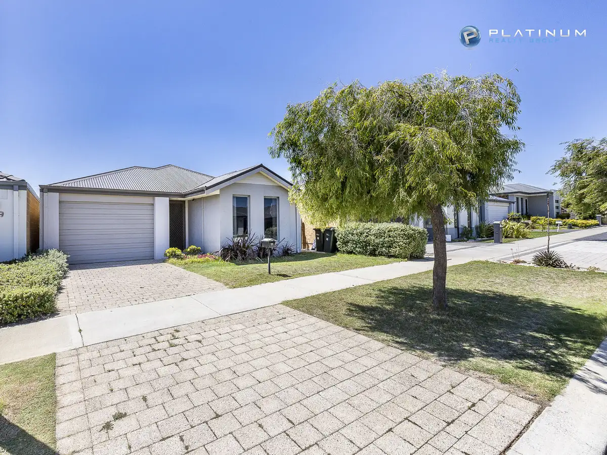 Main view of Homely house listing, 11 Mansfield Avenue, Butler WA 6036