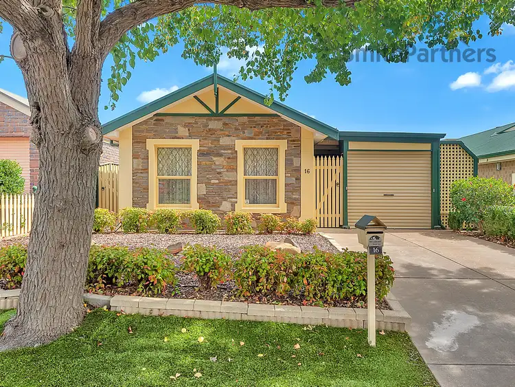Main view of Homely house listing, 16 Martin Street, Wynn Vale SA 5127