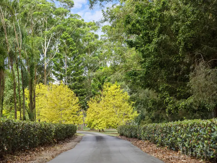 Second view of Homely rural property listing, 6 Elouera Close, Brandy Hill NSW 2324