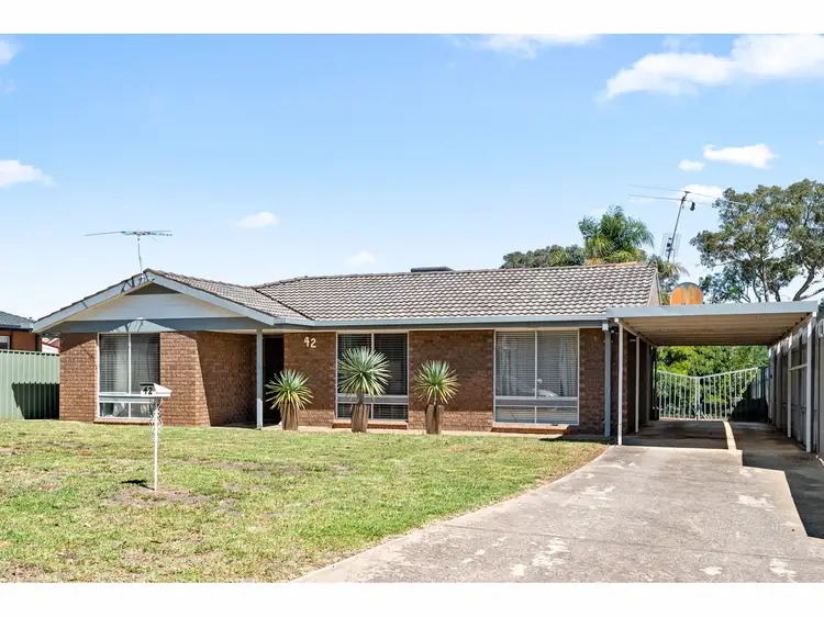 Main view of Homely house listing, 42 McMaster Avenue, Lavington NSW 2641