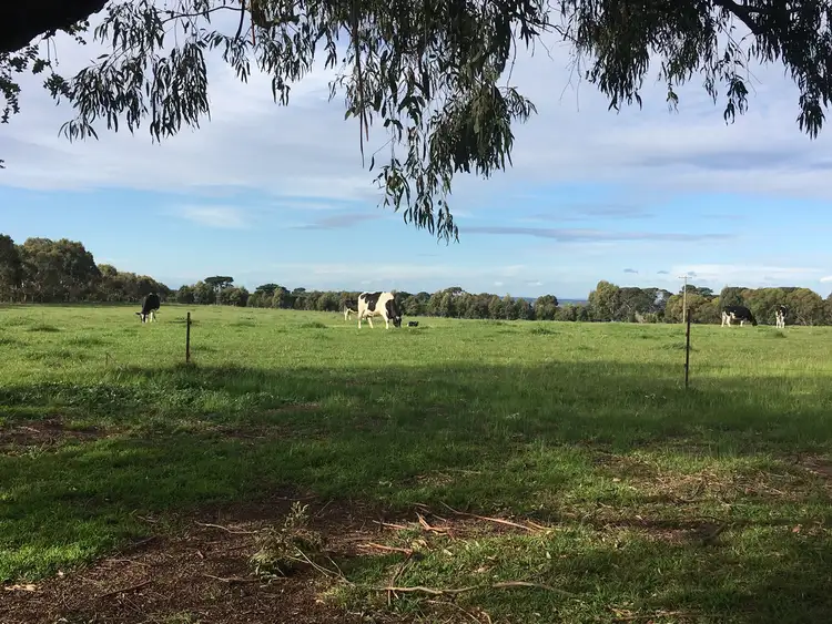Fifth view of Homely house listing, 39 Tower Hill Road, Somers VIC 3927
